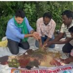 TDF Pilot Demonstrates Climate-Smart Regenerative Paddy Model in Telangana